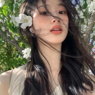 一只龟的进化史